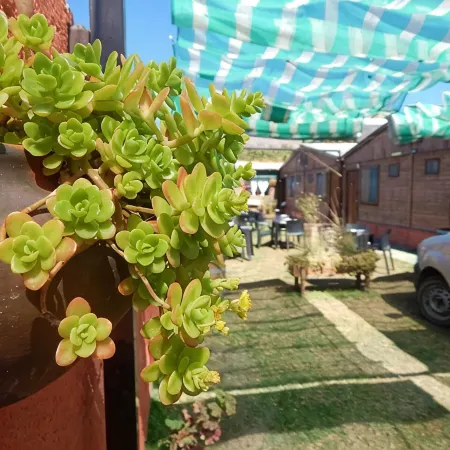 Hostal del Suri