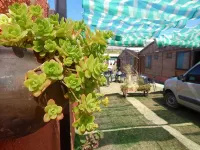Hostal del Suri - Homestays