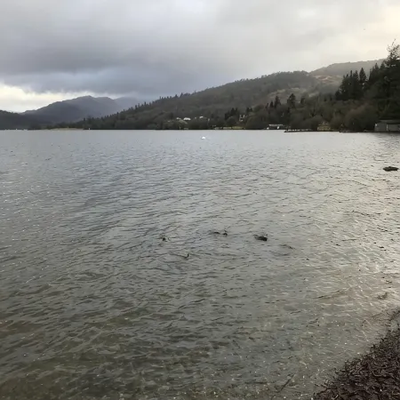 A beautiful Cabin on the 5 star White Cross Bay in a quiet area of the park -