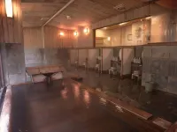 Kinseikan Seseragi - Hot Springs