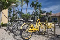 Luxury 2 Bedroom on Grace Bay w/ Direct Ocean View - Unit 206 Villa Renaissance - 4-Star