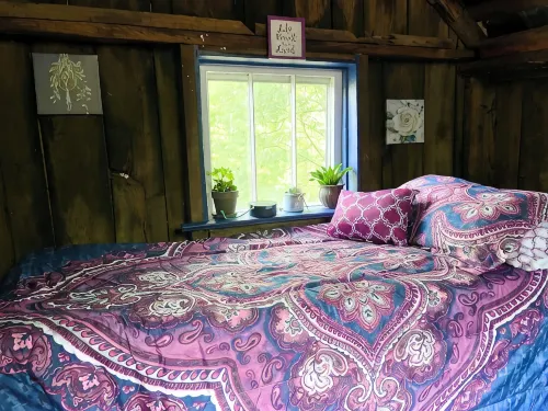 Cozy Cabin: Peaceful Haven in the Heart of Nature - Chalets
