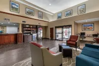Comfort Suites Lakewood - Denver - Wifi
