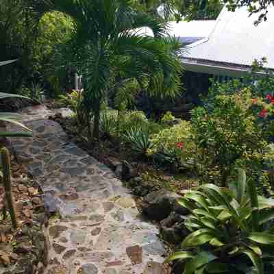 Mampoo Hill-- a Beachfront House 60 Feet from the Ocean with Optional Jeep Hotel Exterior