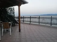 Delfinia Studios