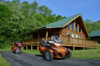 ✧King Cabin - find out why it is the KING!