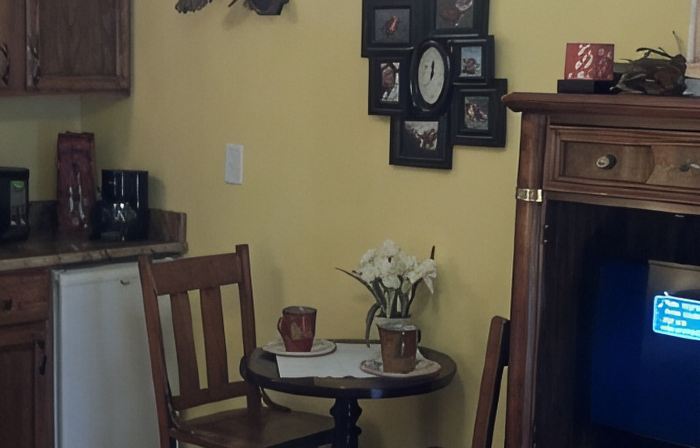 Tennessee River Bed and Breakfast Retreat! Lakefront! No Fees!