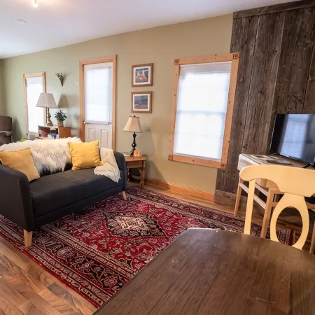 Newly remodeled, private, sunny downtown apartment; near restaurants & shopping.