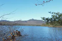 Family Friendly Rustic Newly Renovated Cabin Abutting The White Lake State Park. - Alphydda