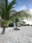 Newly Expanded! Lavish & Exclusive Beachfront Mansion. - Villas