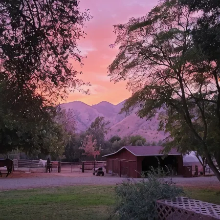 Tiny house experience with horses, goats and pigs. Near Sequoia National Park