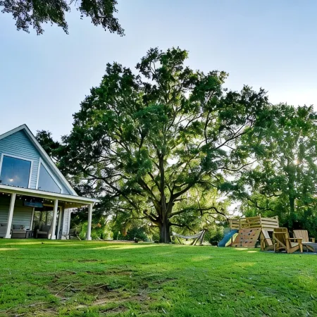 Walk to Dinner! Waterfront, Updated, Prime Location - Back Home Oconee