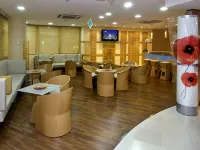 宜必思里約熱內盧桑托斯都蒙特飯店 - 寵物友善