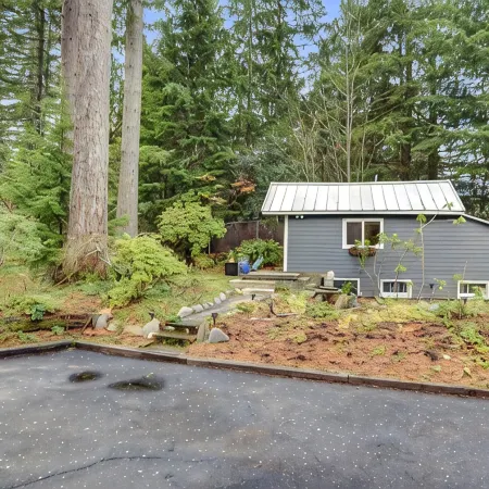 Tiny cabin nestled in the woods