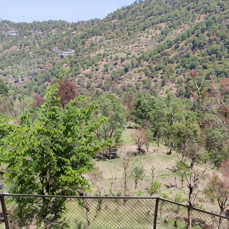SUNS Cottage Kasauli