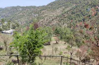 SUNS Cottage Kasauli - Bjergudsigt