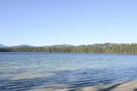 New Pine Cabin in the white mountains walk to white lake new - Hytter