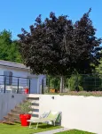 Villa  Air-Conditioned Swimming Pool Spa Boules Court Terraces Park Wifi - 8 People - Huvilat