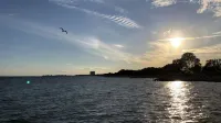 Gemütliche Ferienwohnung mit Blick auf den Yachthafen in Top-lage! - 2-Star
