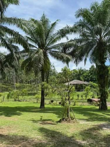 รูปภาพของLak Kao Nai Resort หลักเก้า ไนท์ รีสอร์ท