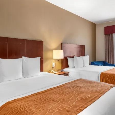 Comfort Inn & Suites Kelso - Longview