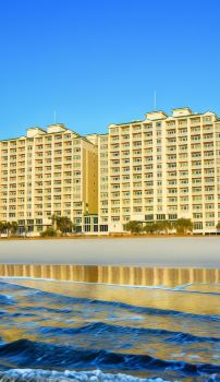 Pet Friendly Hotels In Myrtle Beach