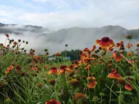 Hwacheon Icheung Moonlight Pension