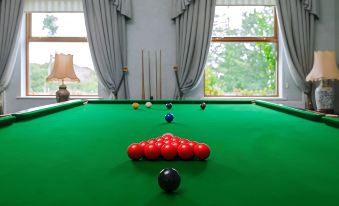 a green pool table with a set of red and black balls on it , along with a cue stick at Tre-Ysgawen Hall & Spa