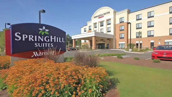 北查爾斯頓/阿什利法斯菲特萬豪SpringHill Suites 酒店