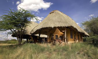 a thatched - roof hut is surrounded by a grassy area with trees in the background , and chairs on the porch at Elewana Lewa Safari Camp