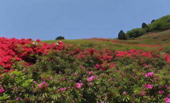 Atami Season Hotel