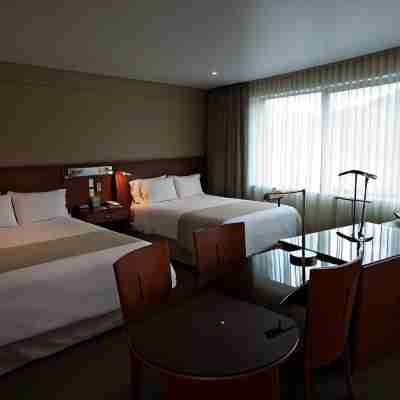 Suites Camino Real Rooms