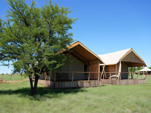 Malaika Luxury Camp Seronera Serengeti