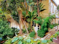 SC Club Village