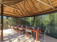 The Wild Olive Tree Camp Hotels in Hluvukani