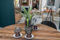 Out of Africa Guesthouse