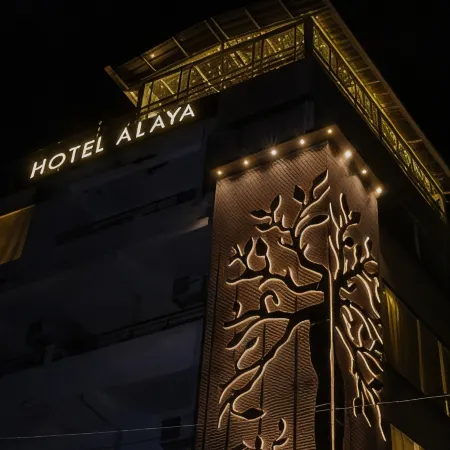 Hotel Alaya