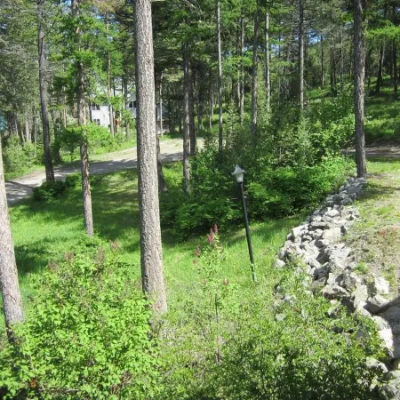 Cathedral in the Pines Near Flathead Lake, 3000 Sq Ft