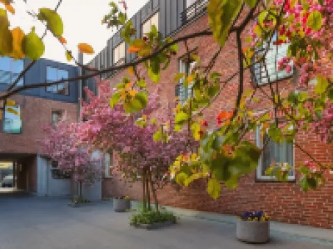 ベルン・ブティック・ホテル タリンのホテル