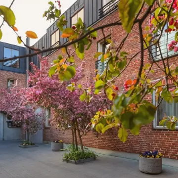 Bern Boutique Hotel Отели рядом с достопримечательностью «Городская стена»