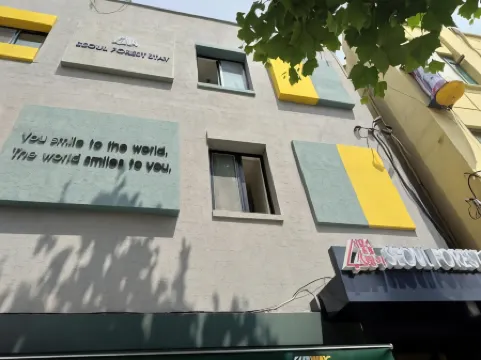 โซล ฟอเรสต์ สเตย์ - โฮสเทล