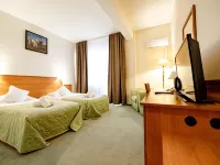 Hotel Rivulus Hotels in Baia Mare