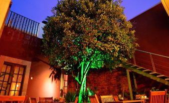 La Casa del Naranjo Hotel Boutique