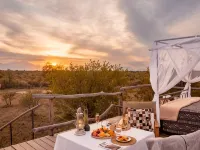 Kapama River Lodge Hotels in Hoedspruit
