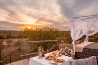 Kapama River Lodge Hotels in Hoedspruit