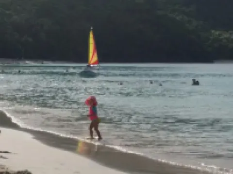 Location, Location, Location!  2BR/2BA, Spectacular Ocean and Pool Views