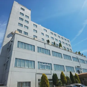 New Grand Hotel Отели в г. Синдзё