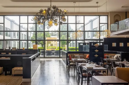 Courtyard Toluca Airport