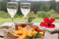 Daydreamer Apartments