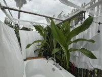R Resident Resort Hotel a Distretto di Mueang Phetchaburi